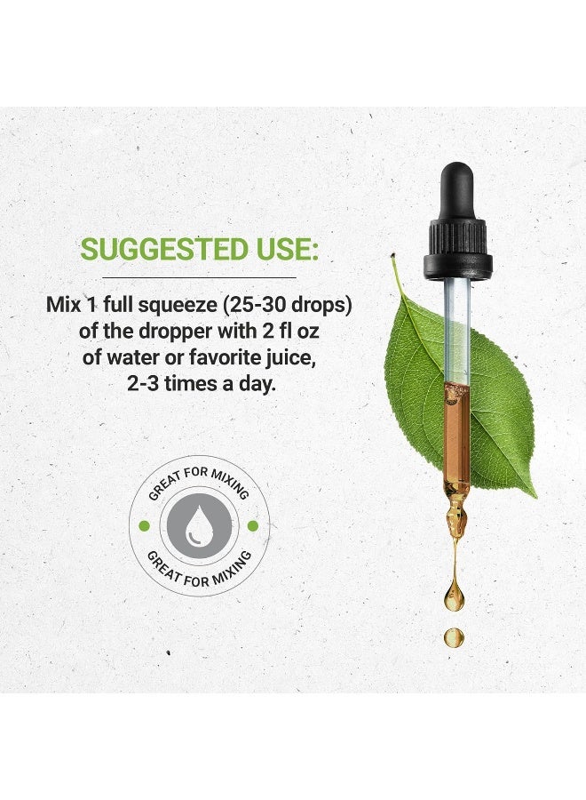 Secrets of the Tribe Wormwood USDA Organic Alcohol-FREE Extract - Image 3